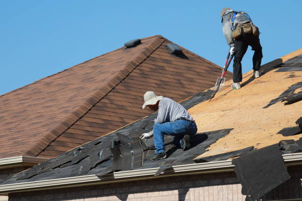 Best Roof Maintenance and Cleaning  in Camp Barrett, VA