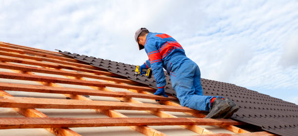Best Roof Maintenance and Cleaning  in Camp Barrett, VA