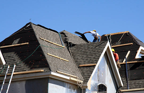 Best Sheet Metal Roofing  in Camp Barrett, VA